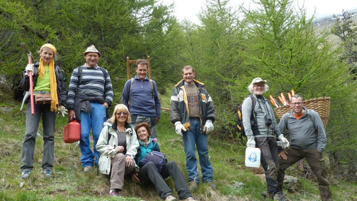 Aktiver Naturschutz auf der Alm