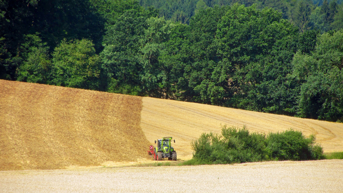 Landwirtschaft