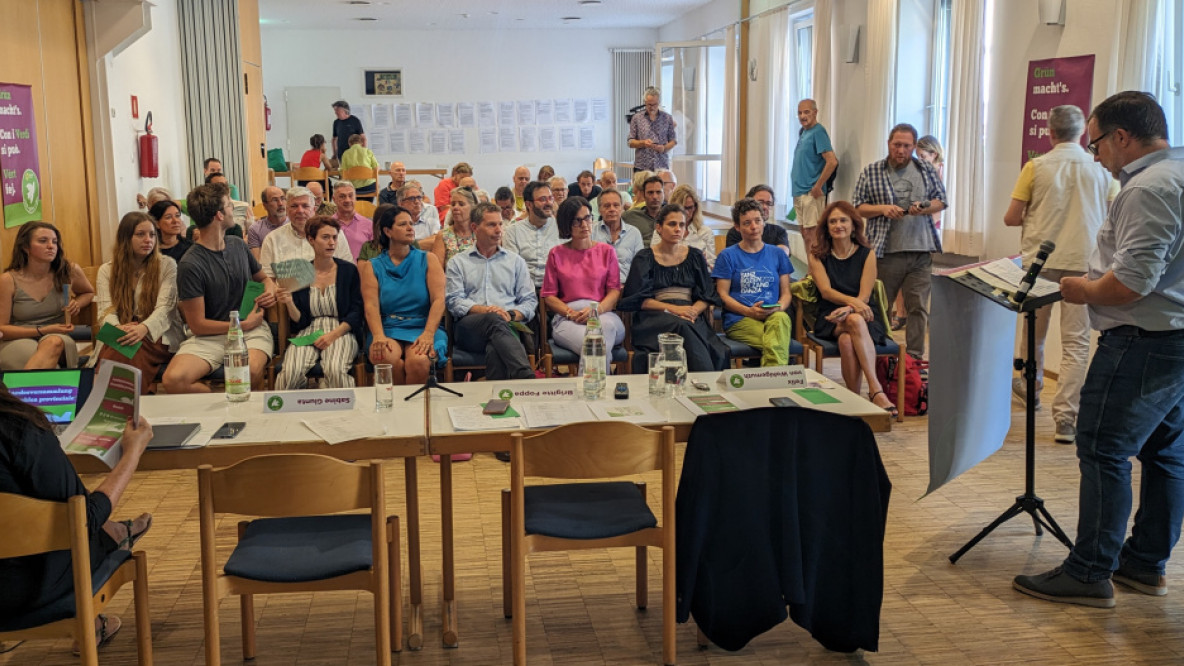 assemblea dei verdi