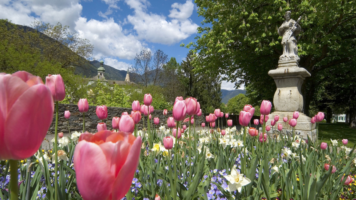 Blühendes Brixen