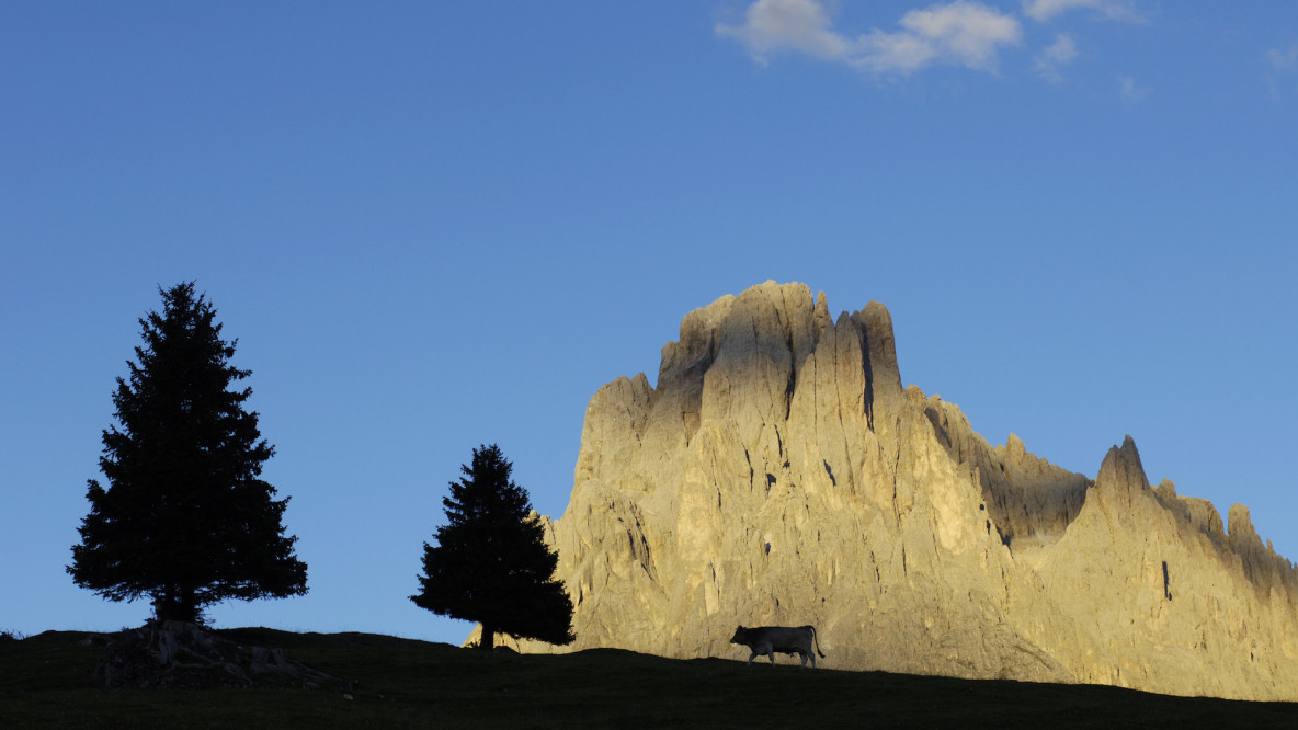 Monte Pana – Langkofel