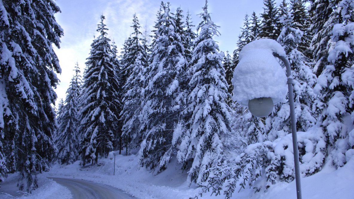 winterliche Straße