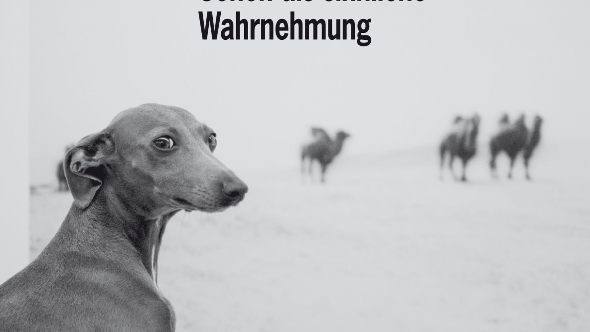 sehen_als_sinnliche_wahrnehmung.jpg
