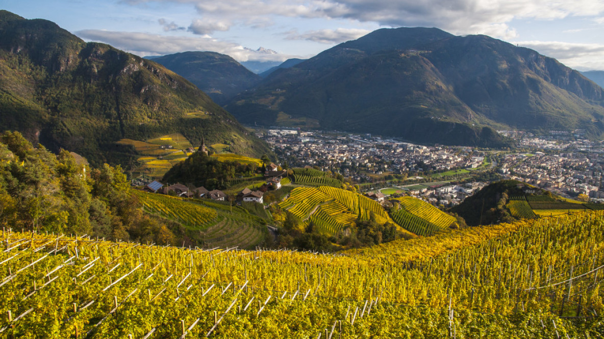 Alto Adige