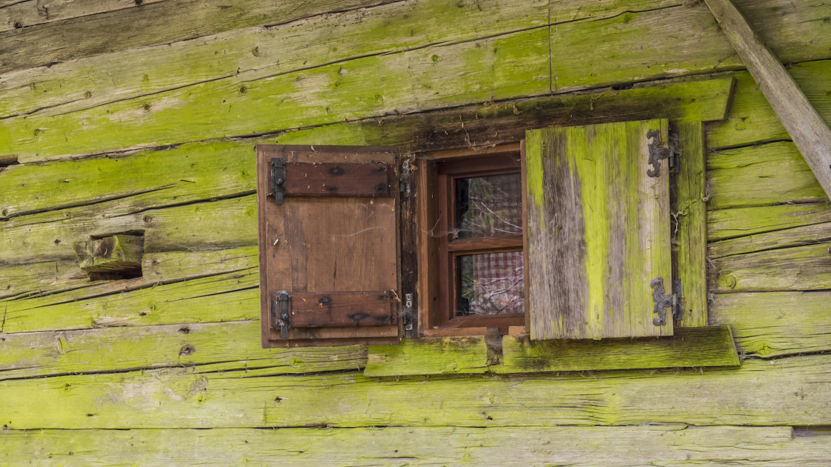 Fenster