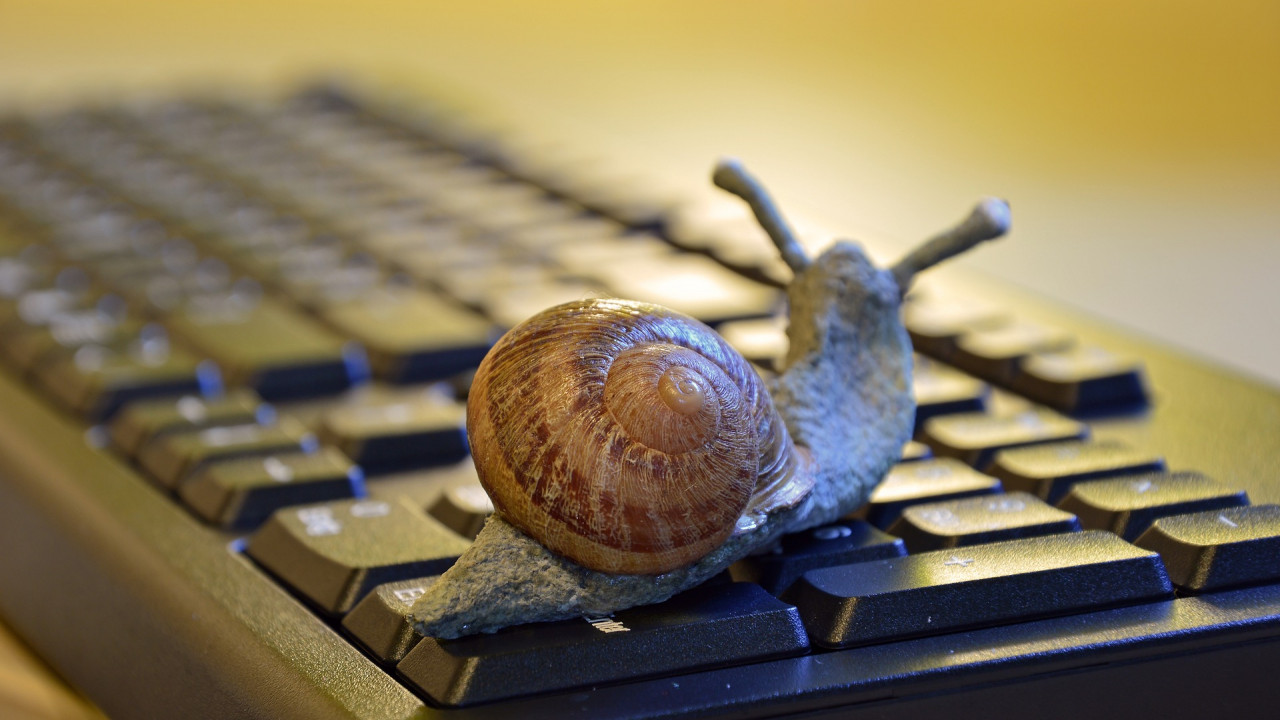 snail-3901655_1920.jpg