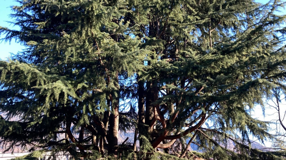 spielplatz_maria_trost.jpg