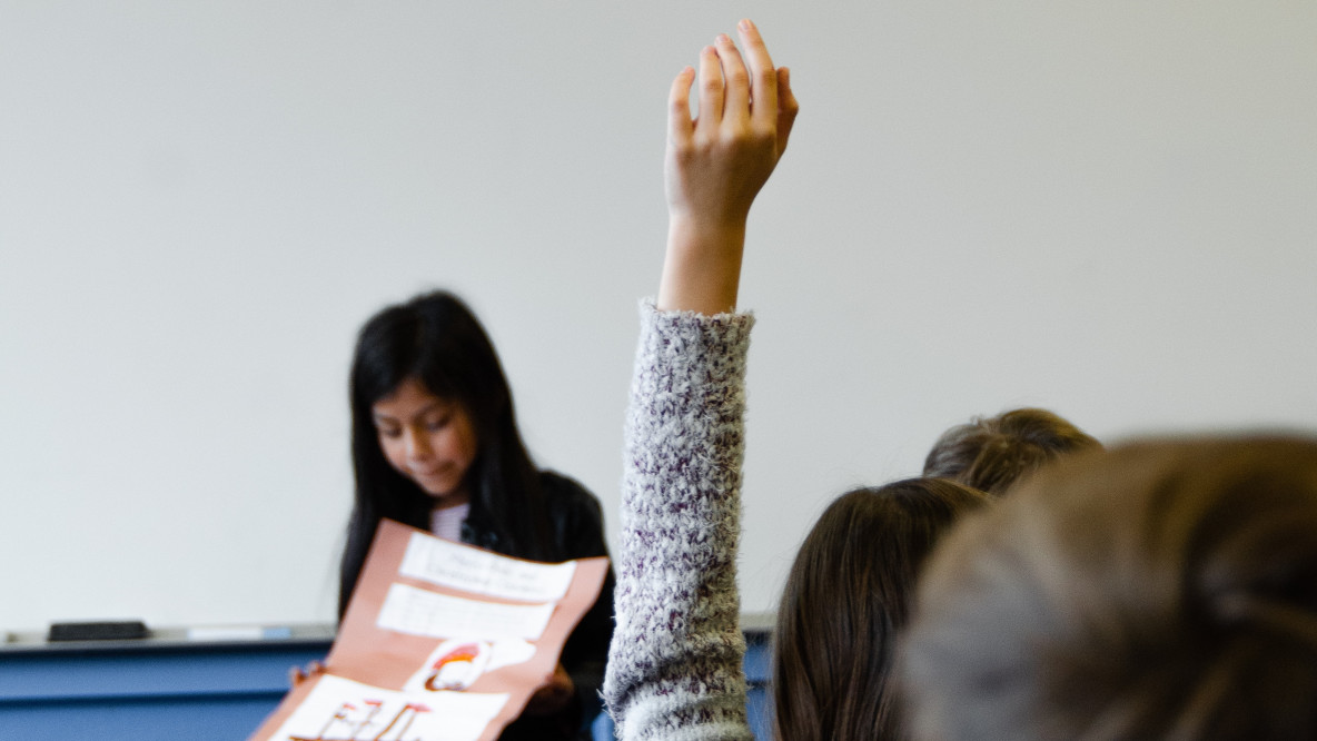 schule.jpg