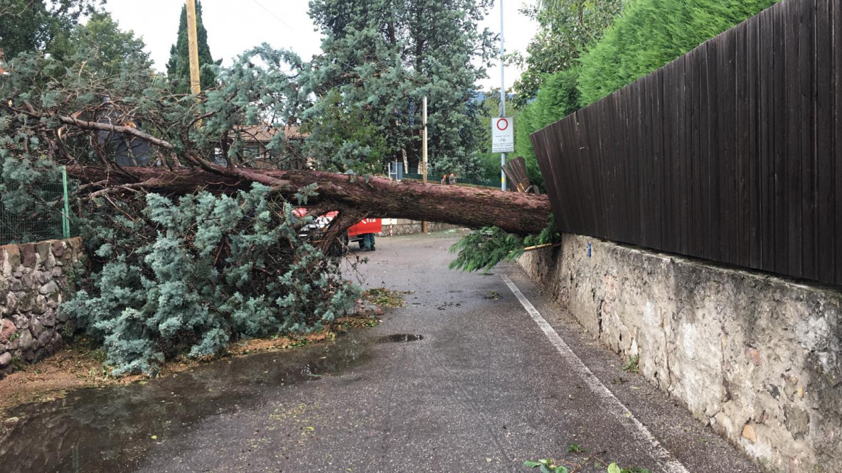 temporale, Bolzano, maltempo