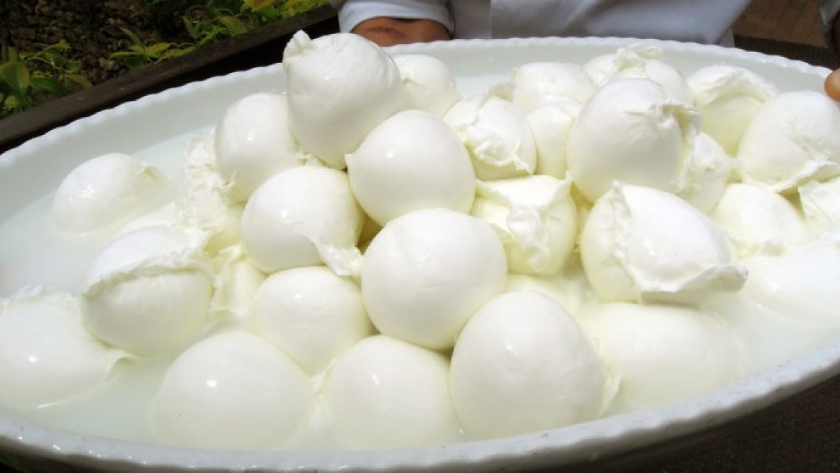 Mozzarella di buffala