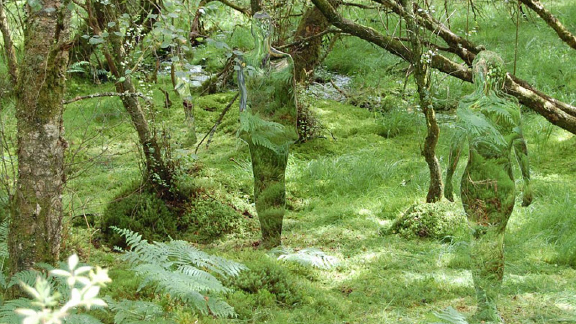 Vestige