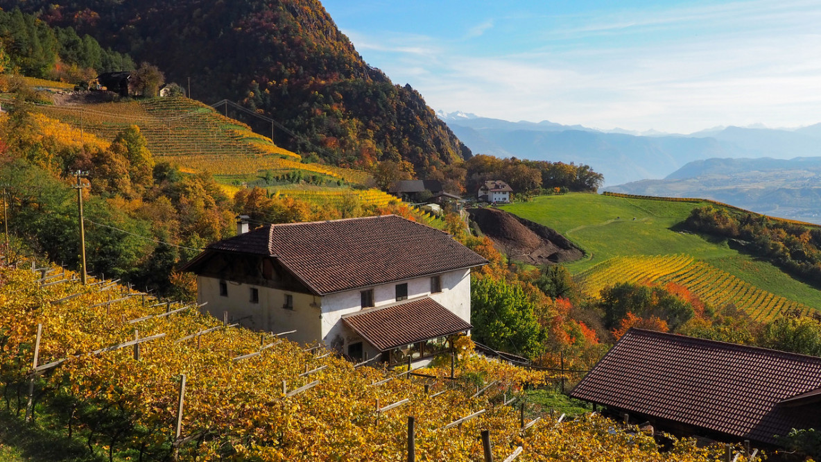 Montigl - Weinlandschaft