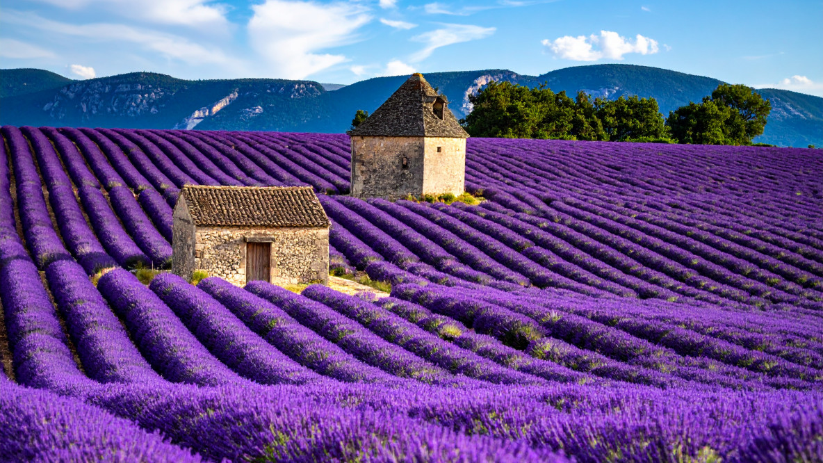 Genussecke Provence