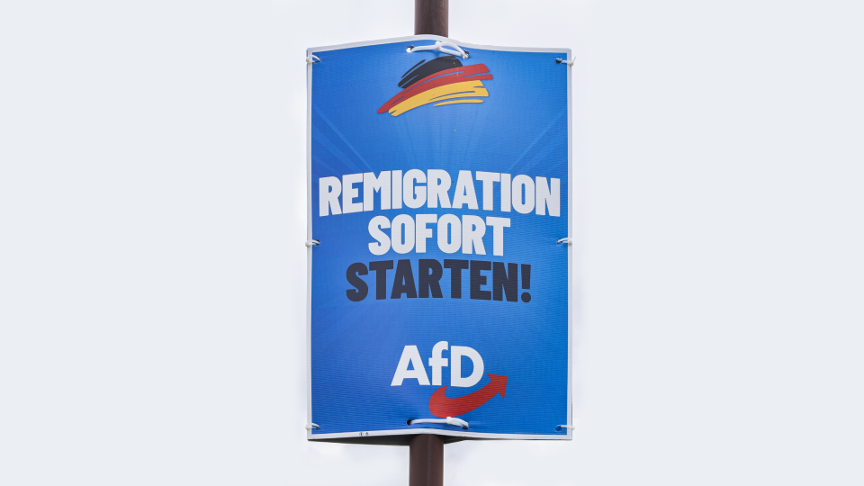 remigration