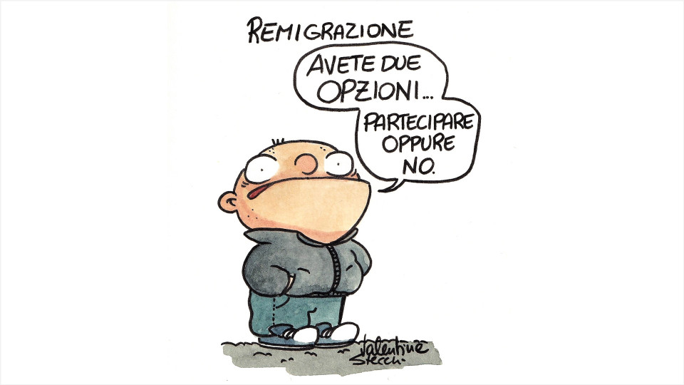 Remigrazione