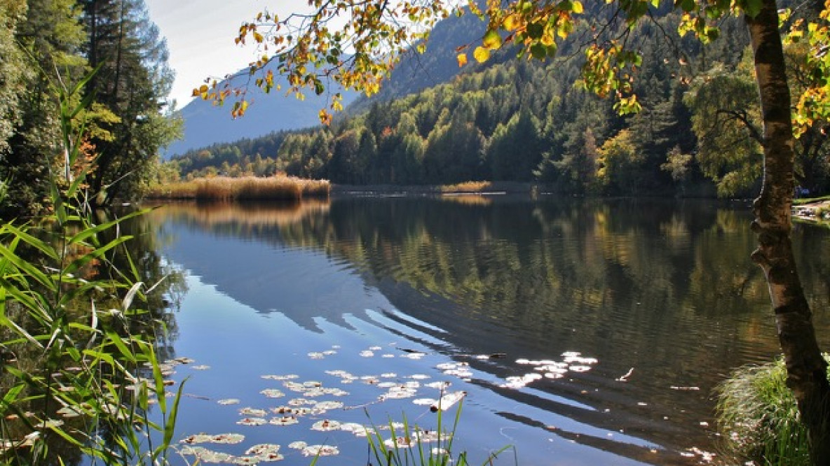 Der Vahrner See im Spätsommer