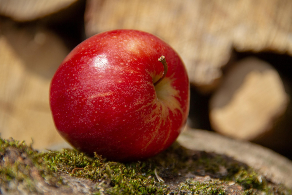 mela_apfel