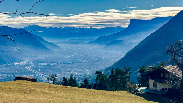 Algund Vellau