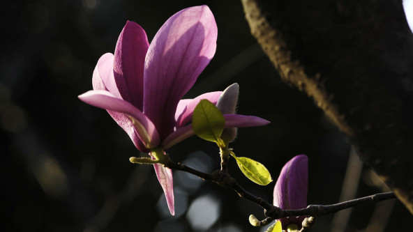 Seehauserfoto