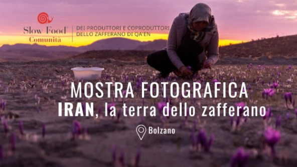 Iran, la terra dello zafferano