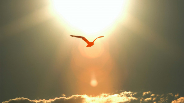 Seehauserfoto