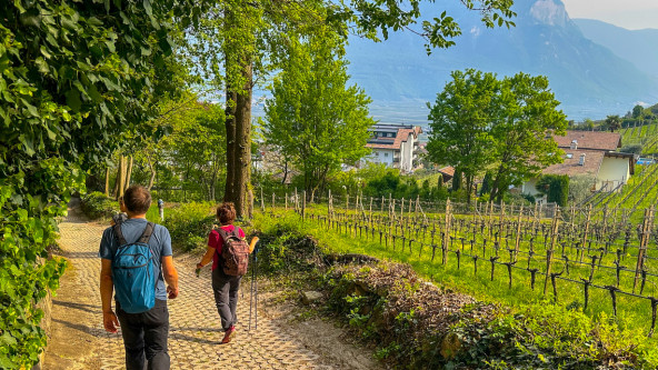 Von Tramin nach Graun