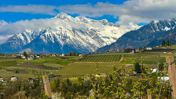 Riffan und Dorf Tirol