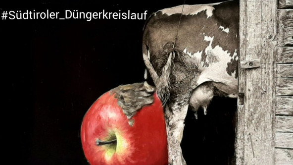 sudtiroler_dungerkreislauf-cove