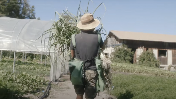 Tian_Farmfluencers