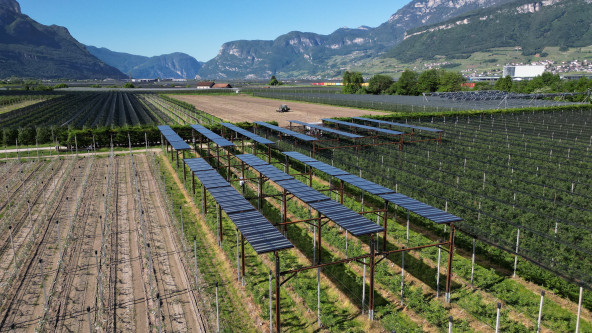 Agri-Photovoltaik Auer