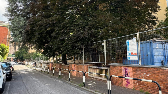 alberi dell'ex Pascoli
