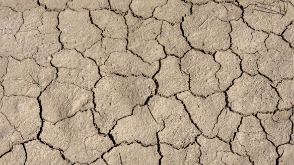 climate risk