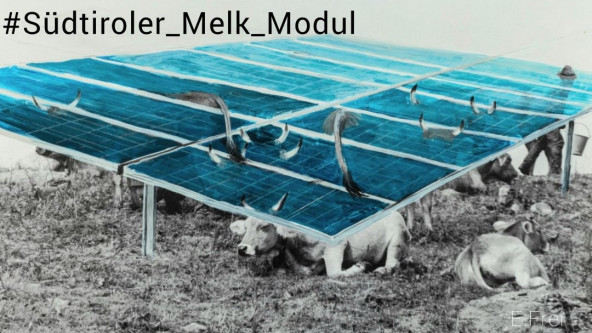 sudtiroler_melk_modul cover