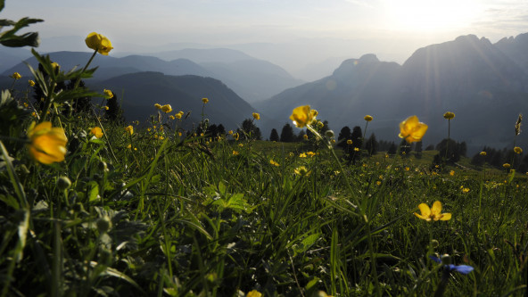 Seehauserfoto