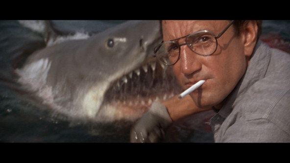 Jaws