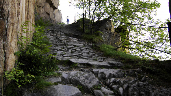 Foto
