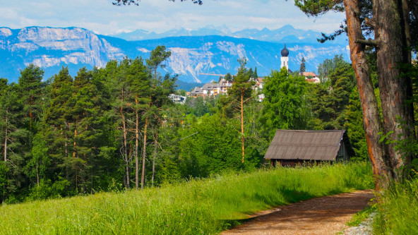 Freudpromenade