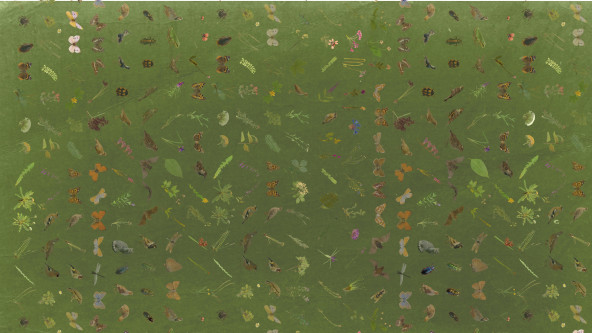 Grafica della mostra.