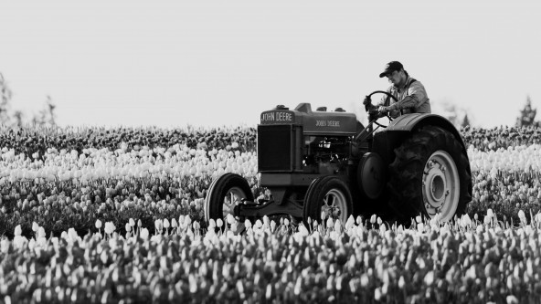 Bauer, Traktor, Feld