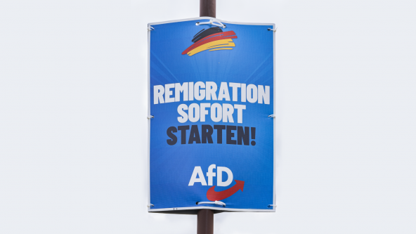 remigration