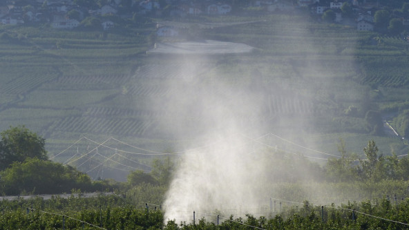 Spritzen Pestizide Pflanzenschutz