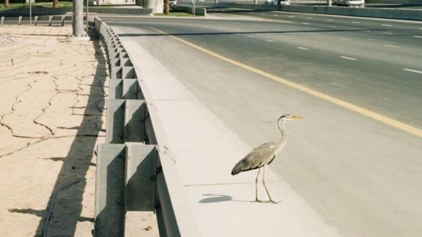 il_paese_di_dopodomani