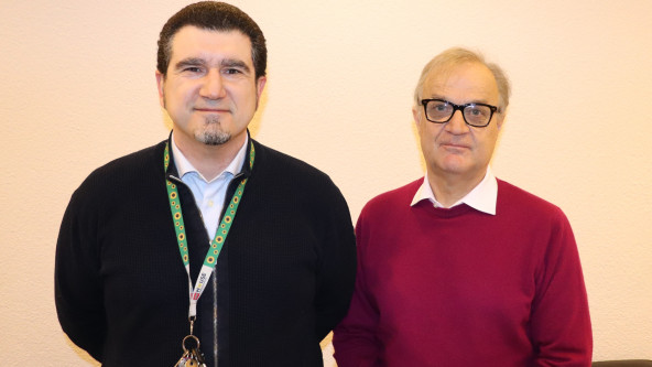 Sonnenblumen für Inklusion