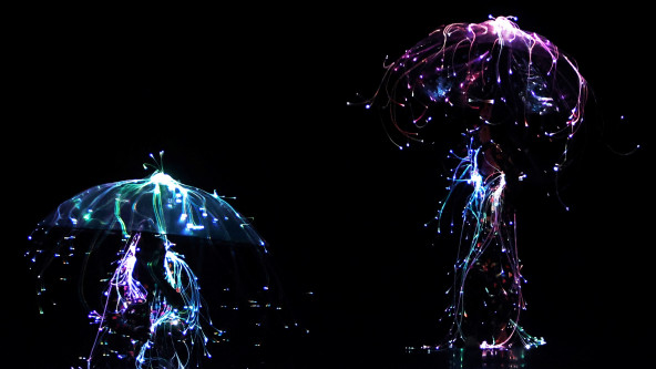 Cosmos Tanz Lichtshow