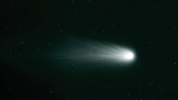 Cometa di Halley