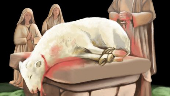 Schlachtung und Gewissensbiss