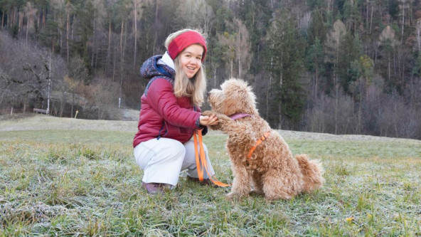 Alles auf Augenhöhe