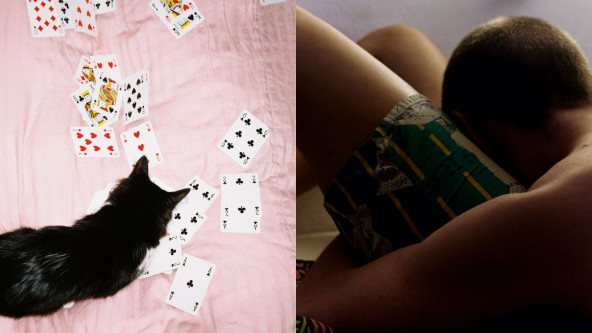 Don't shoot, come in!