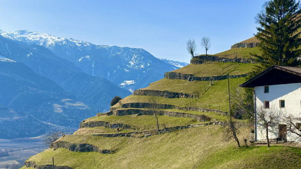 Vinschger Sonnenberg