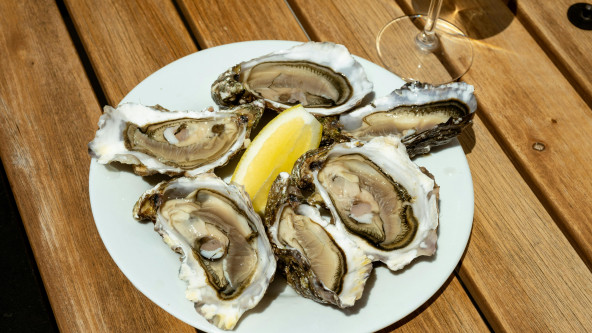 ostriche